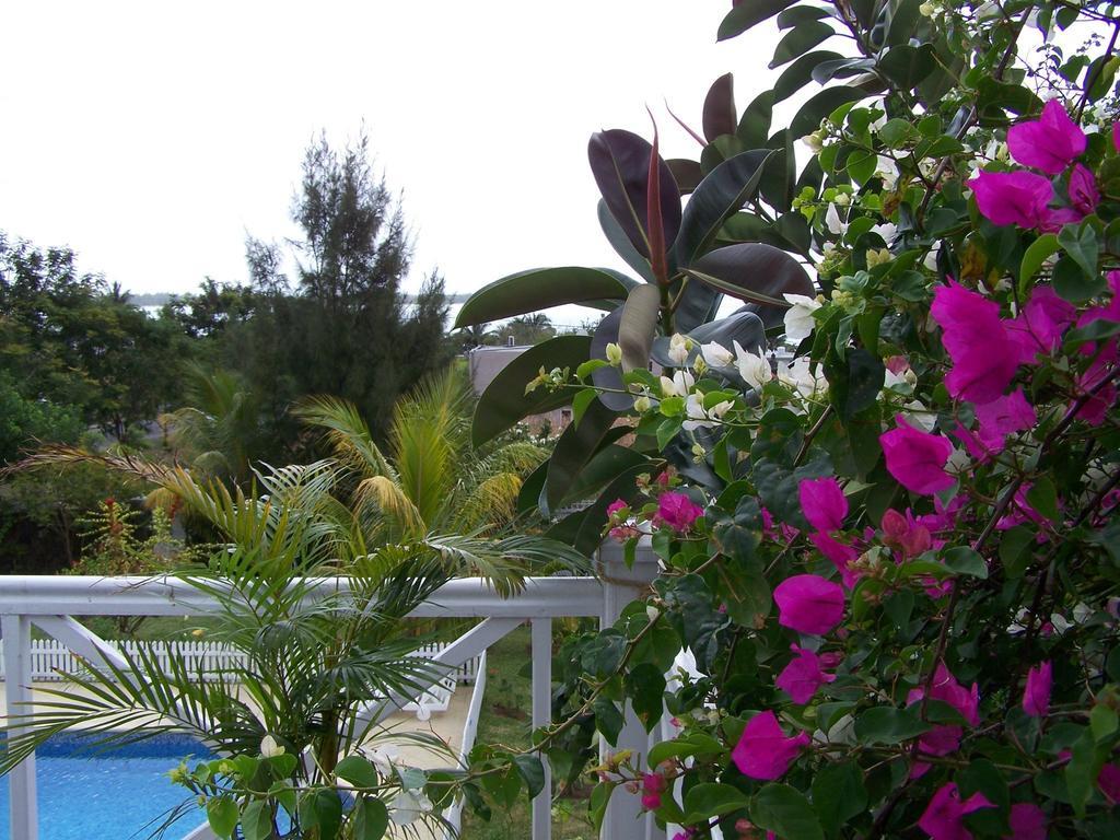 Bed And Breakfast Maison Papaye La Gaulette Exterior photo