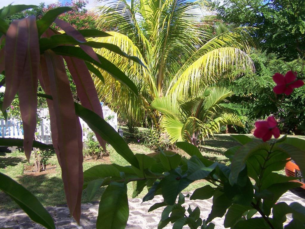 Bed And Breakfast Maison Papaye La Gaulette Exterior photo